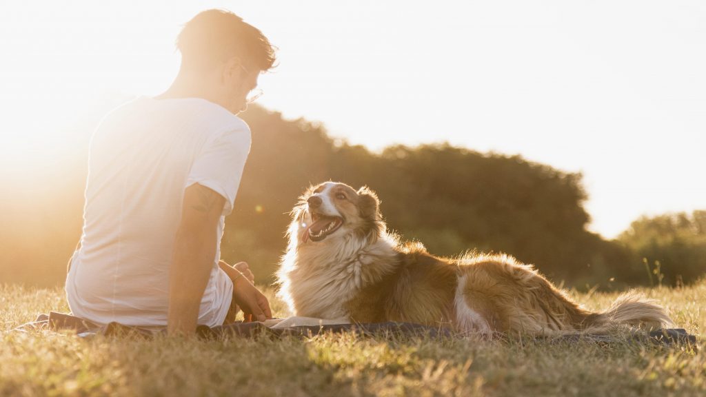 villaggi pet friendly in puglia